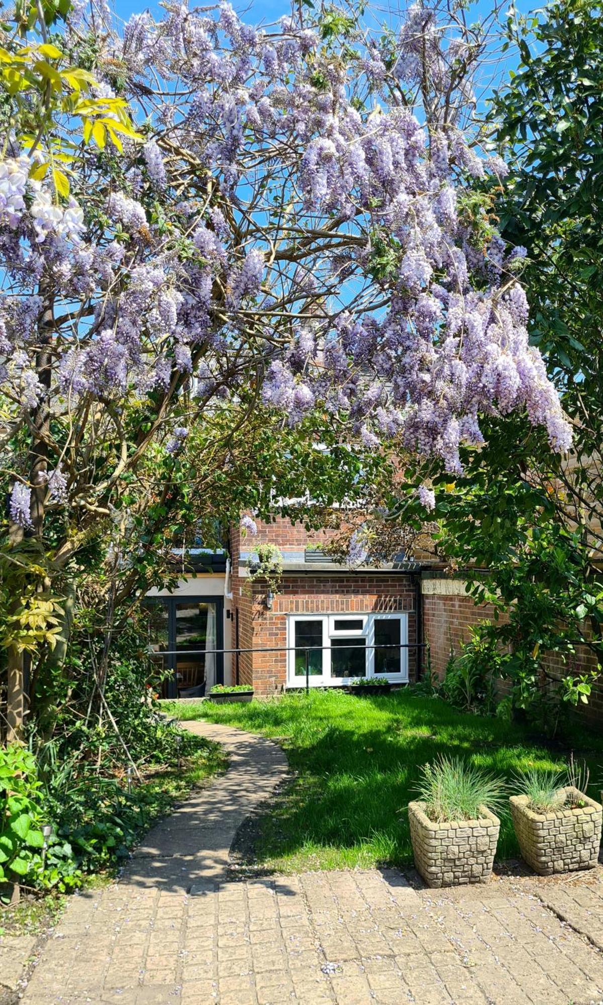 The Hideaway - Luxury Townhouse Villa Wareham Eksteriør bilde
